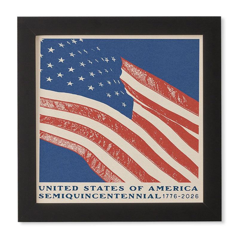 DENY Designs Stars n Stripes Semiquincentennial Framed Wall Art