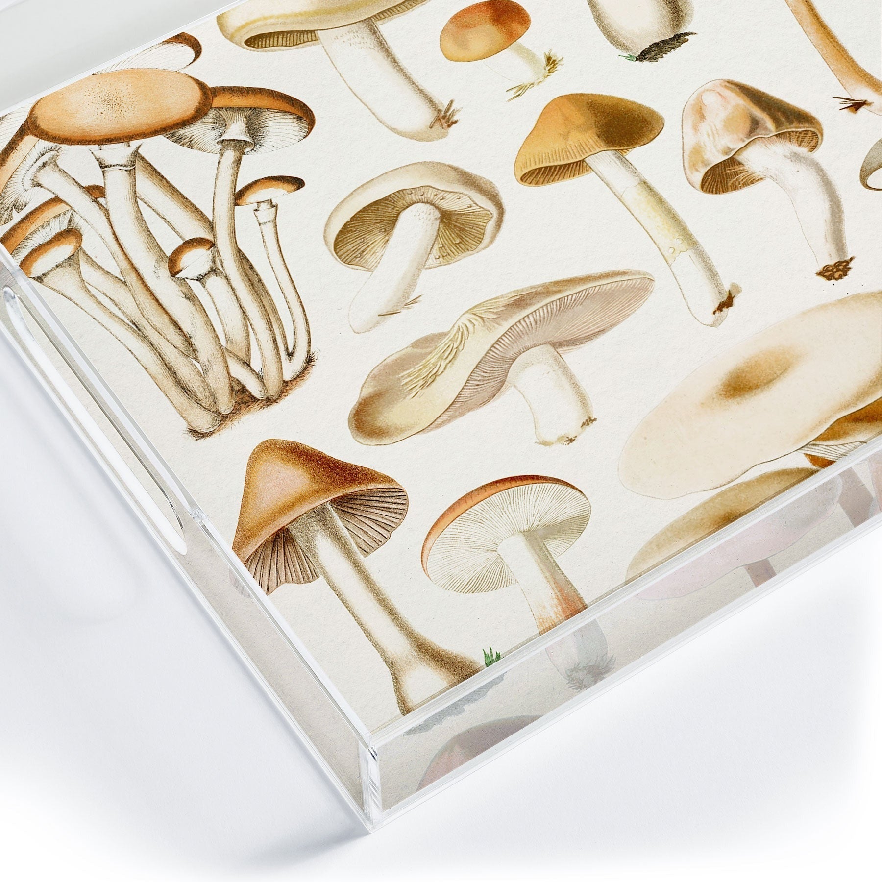 Gal Design Mushrooms Collection Acrylic Tray
