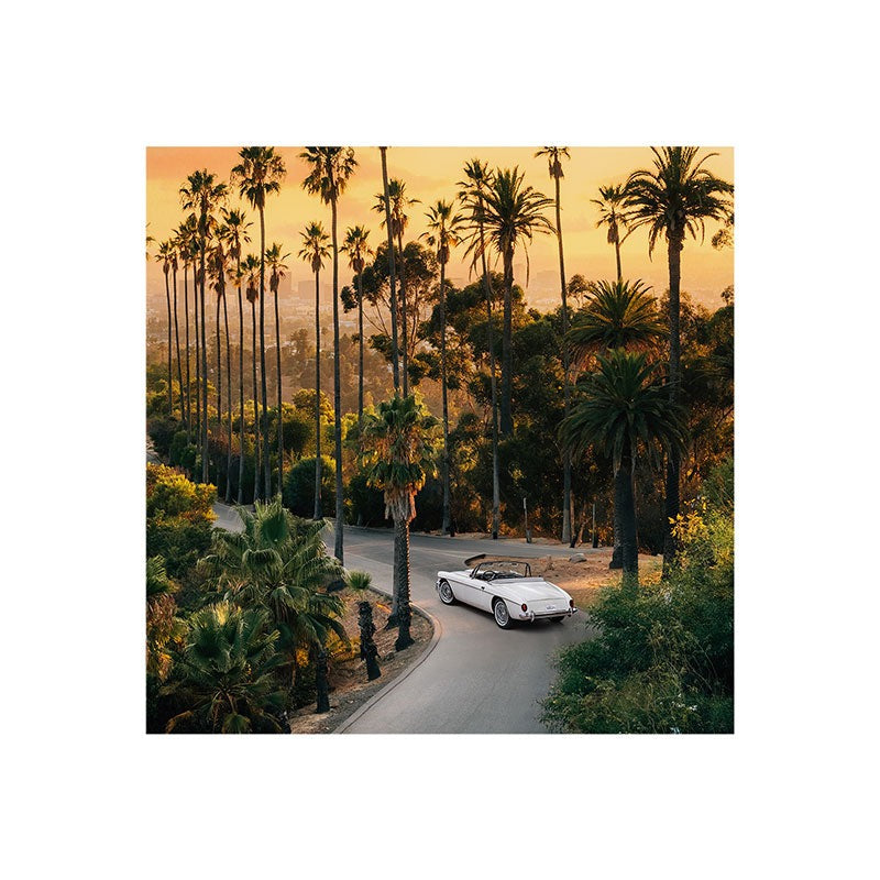 Gal Design Sunset Blvd Art Print