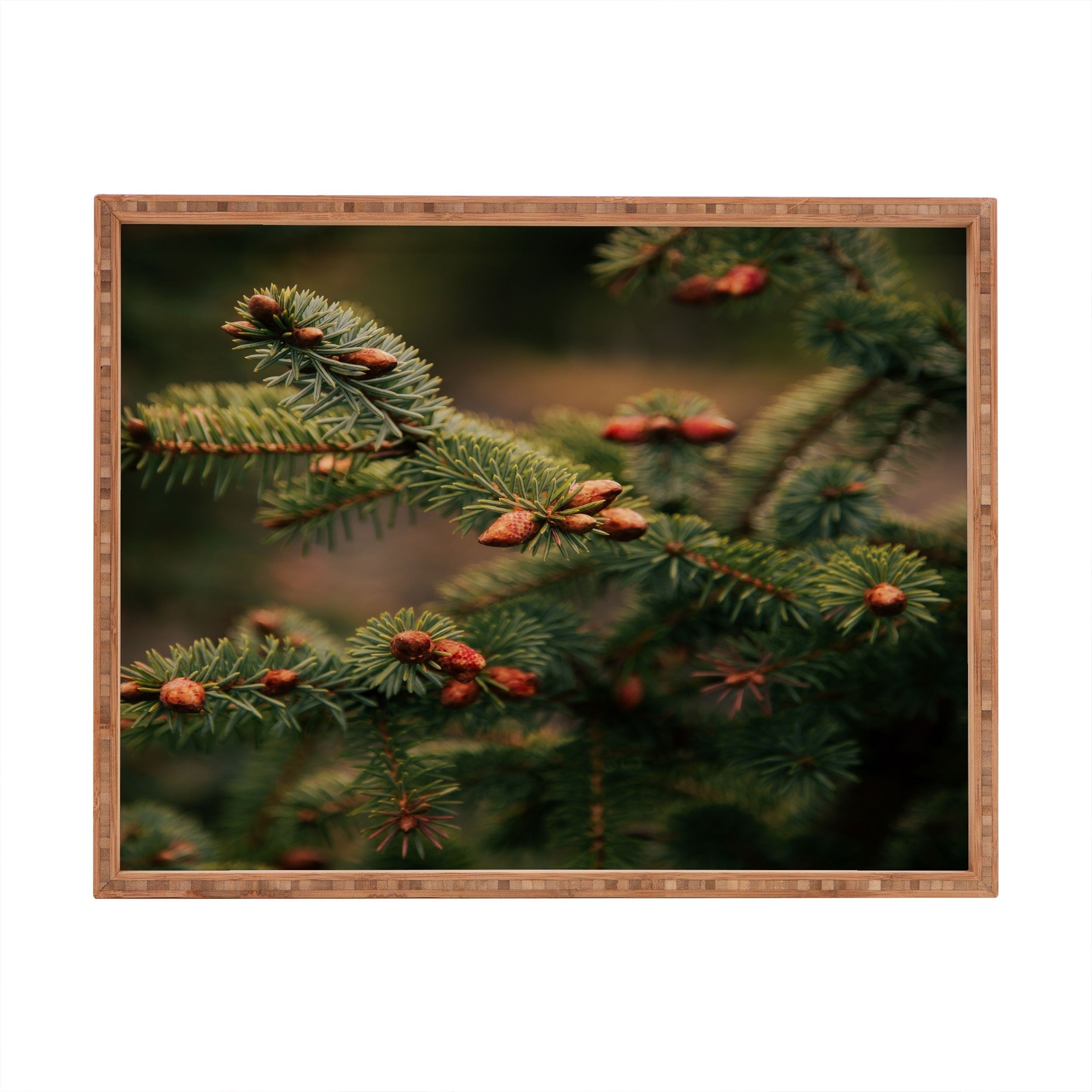 Hannah Kemp Spruce Tips Rectangular Tray