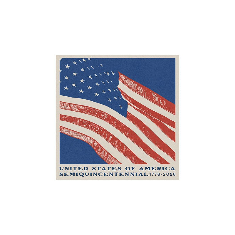 DENY Designs Stars n Stripes Semiquincentennial Art Print