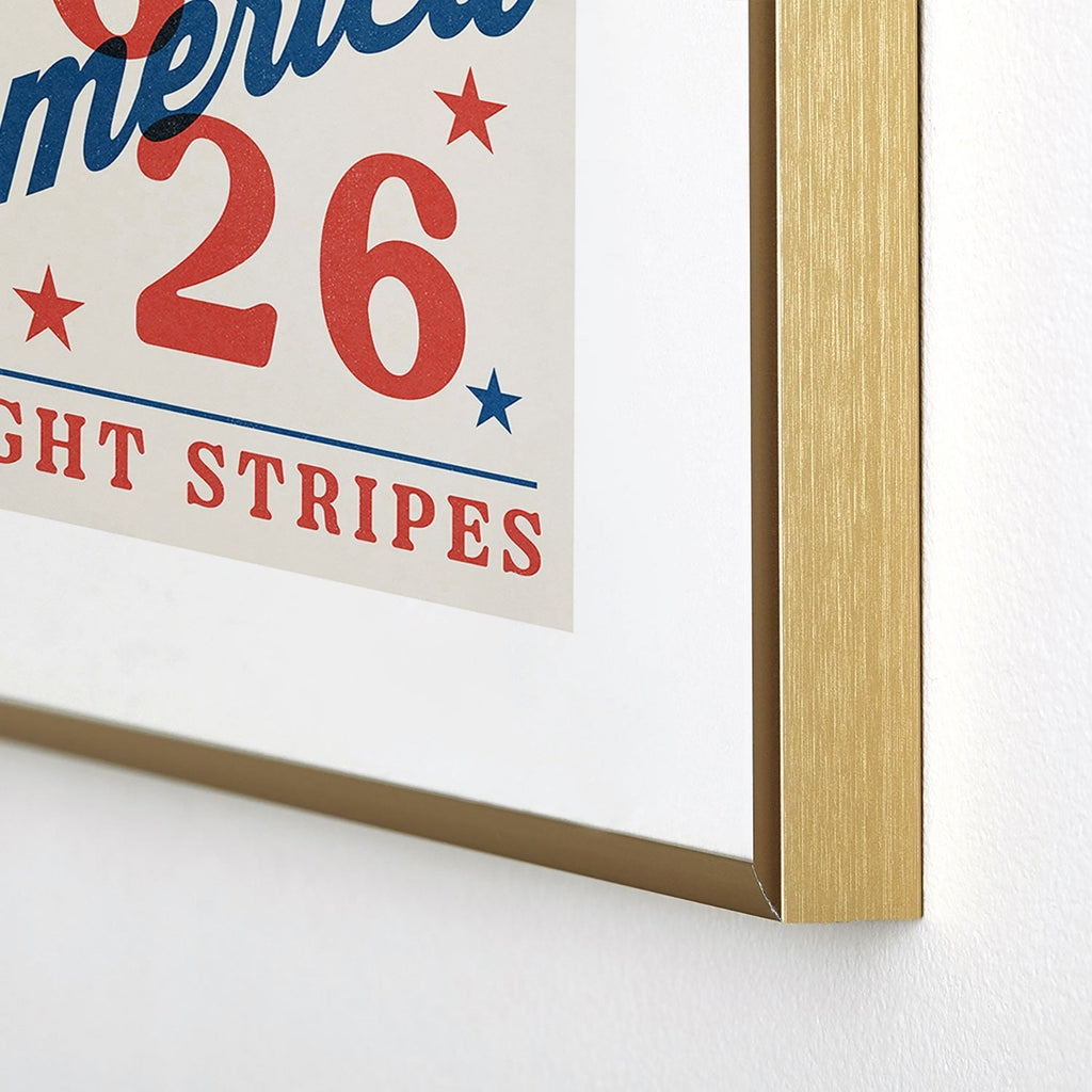 DENY Designs Bright Stars Bright Stripes Metal Framed Art Print
