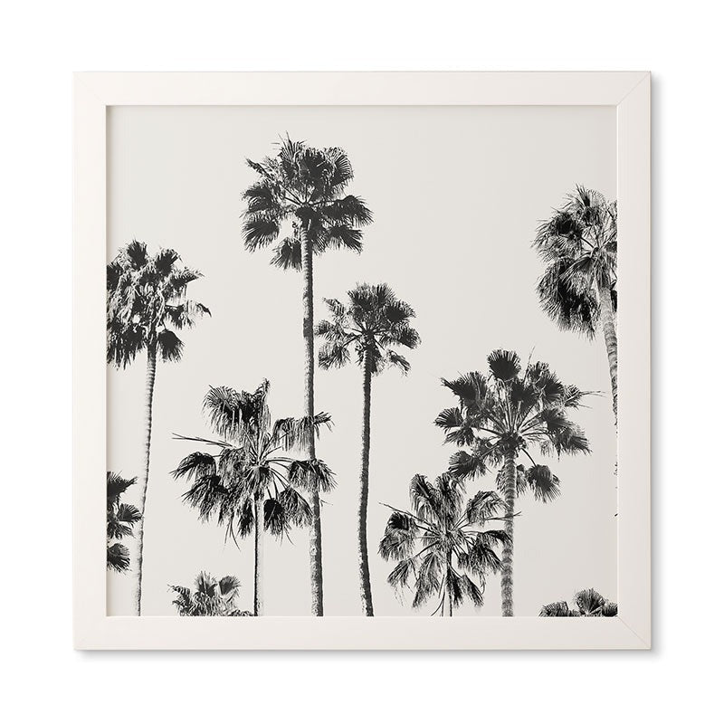 Gal Design Black And White Palms Framed Wall Art