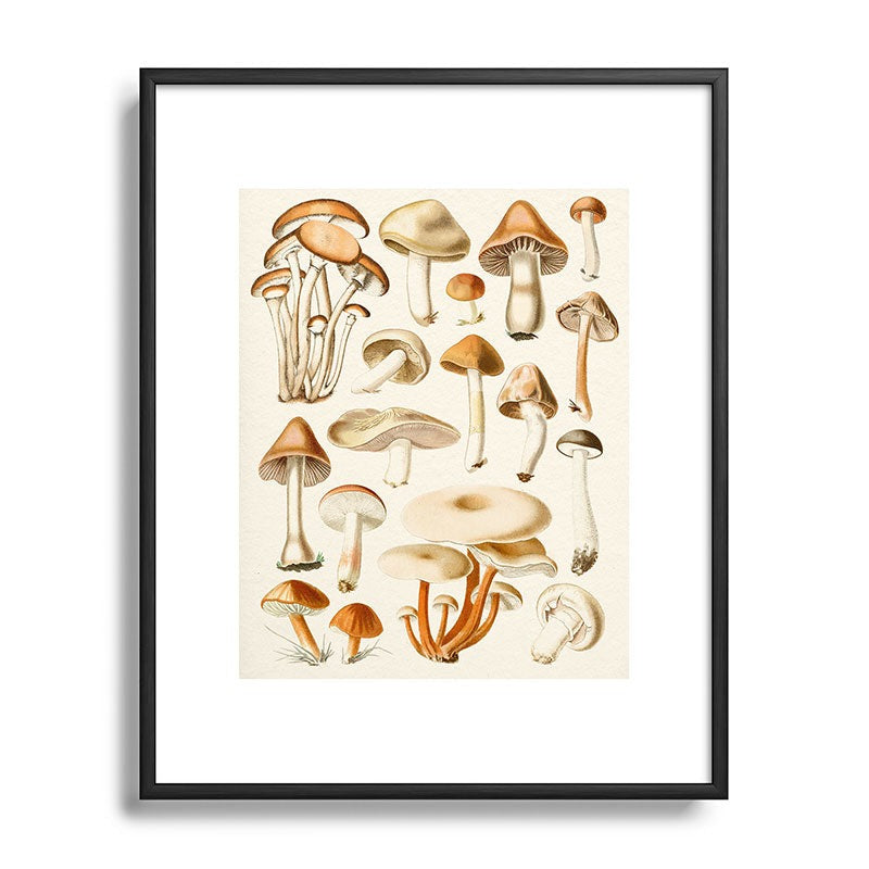 Gal Design Mushrooms Collection Metal Framed Art Print