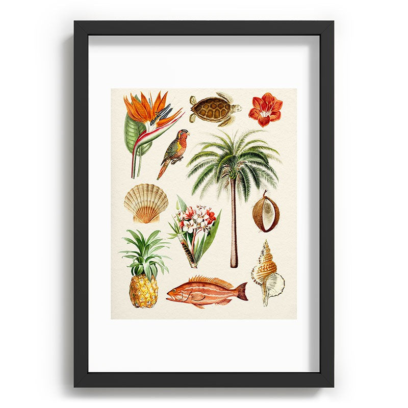 Gal Design Hawaii Collection Recessed Framing Rectangle
