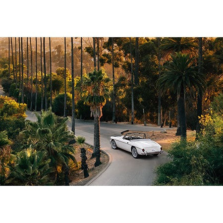Gal Design Sunset Blvd Wall Mural