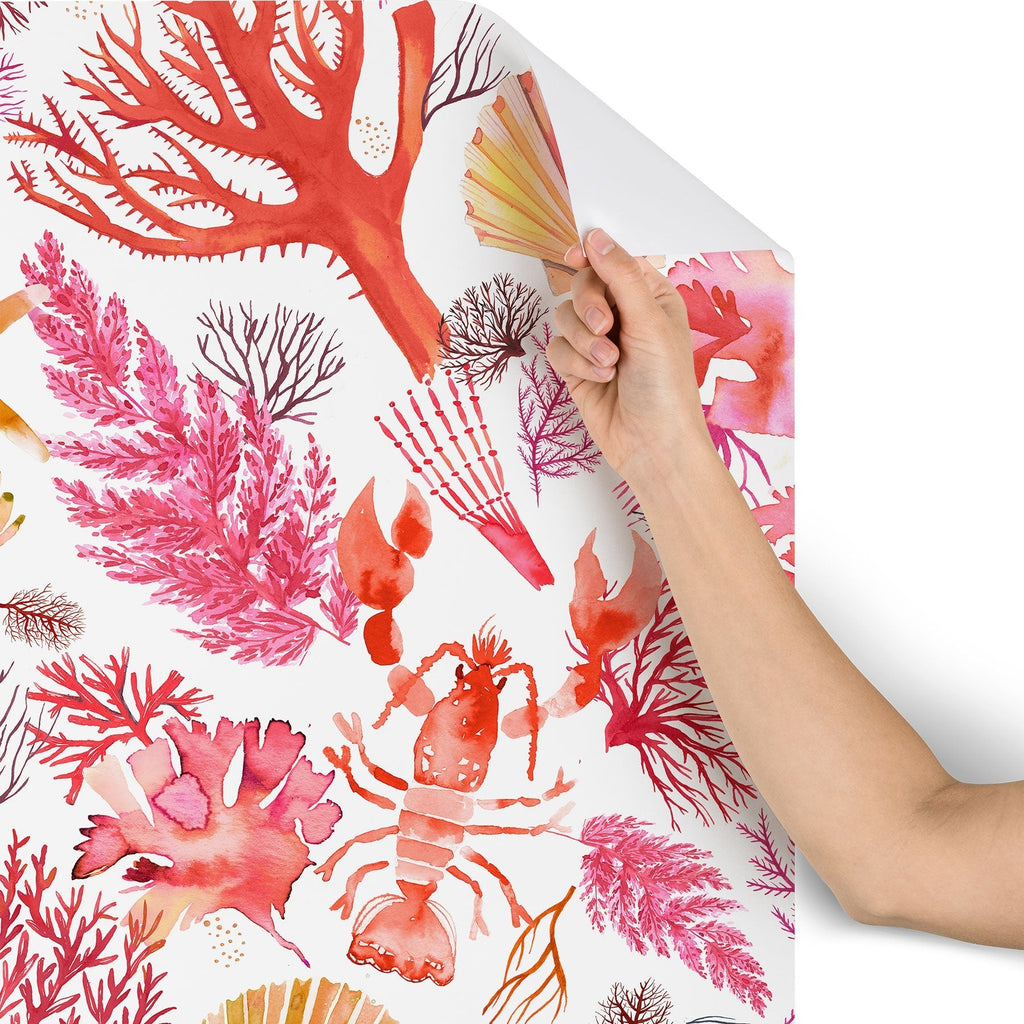 Ninola Design Botanic Retreat Coral Reef Crab Lobster Red Wallpaper