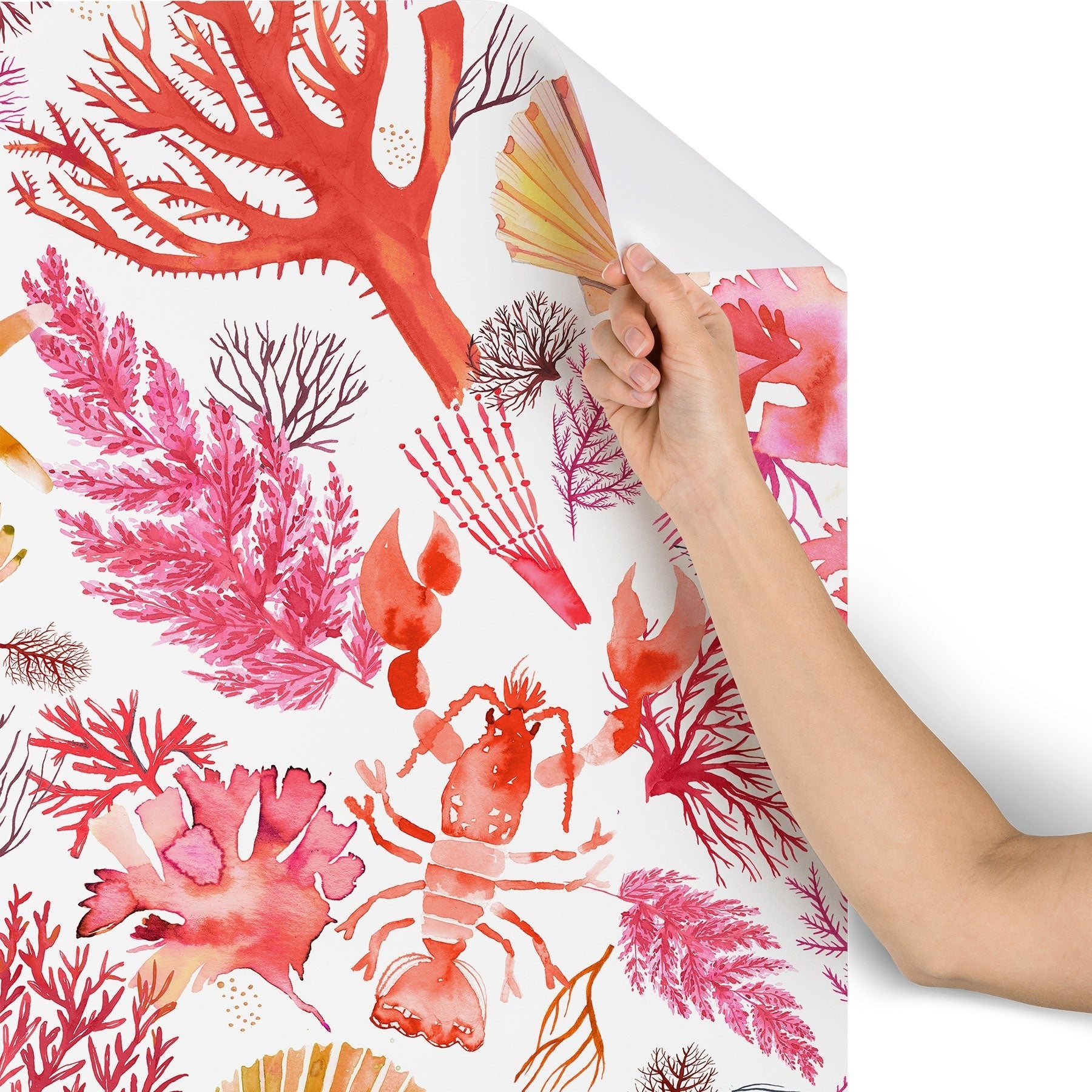 Ninola Design Botanic Retreat Coral Reef Crab Lobster Red Wallpaper