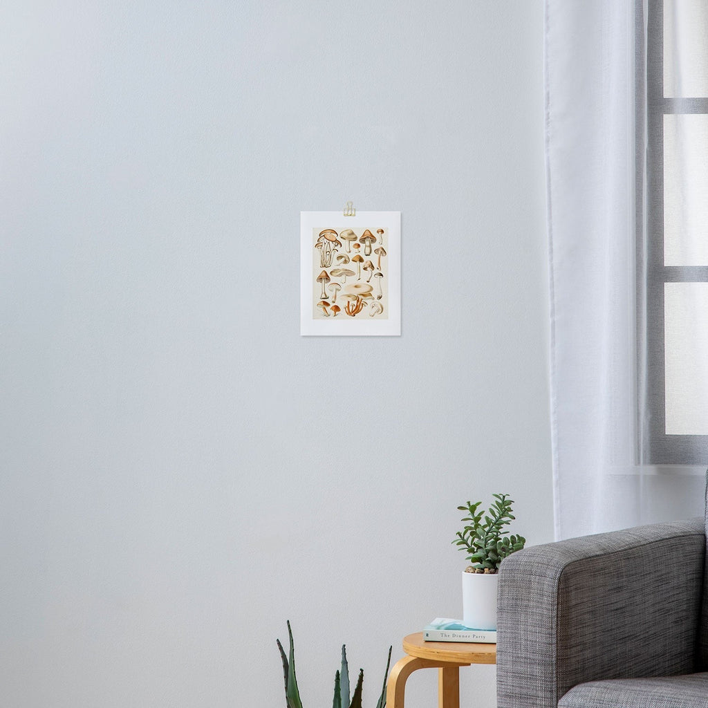 Gal Design Mushrooms Collection Art Print