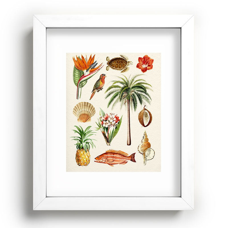 Gal Design Hawaii Collection Recessed Framing Rectangle