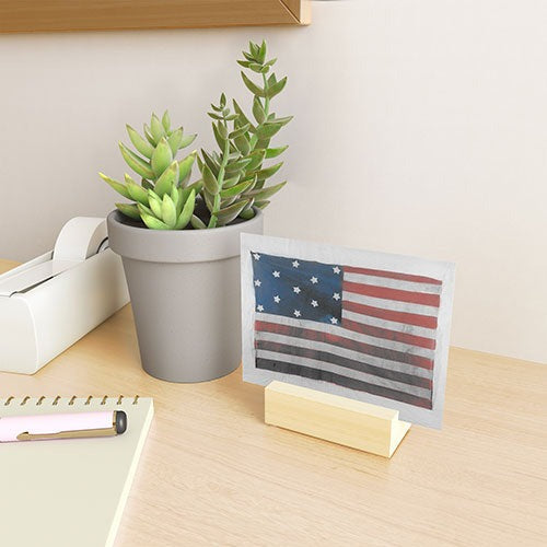 DENY Designs Flag Attributed to Elizabeth Schuyler Hamilton Mini Art Print