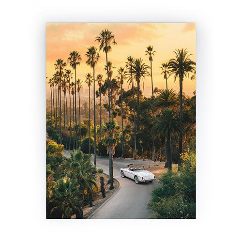 Gal Design Sunset Blvd Mini Art Print