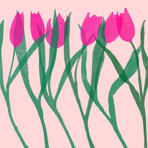 Garima Dhawan tulips 14 Shower Curtain