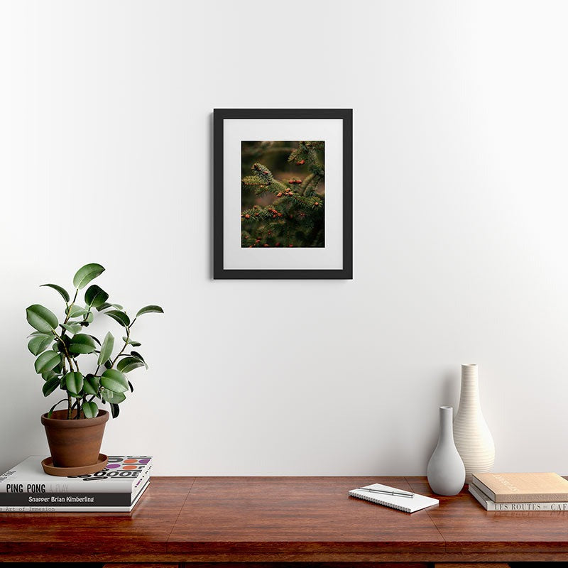 Hannah Kemp Spruce Tips Framed Art Print