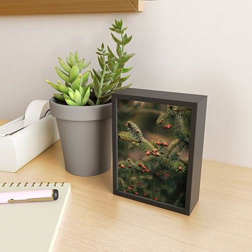 Hannah Kemp Spruce Tips Framed Mini Art Print