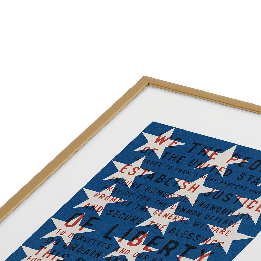 DENY Designs Starred Preamble Metal Framed Art Print