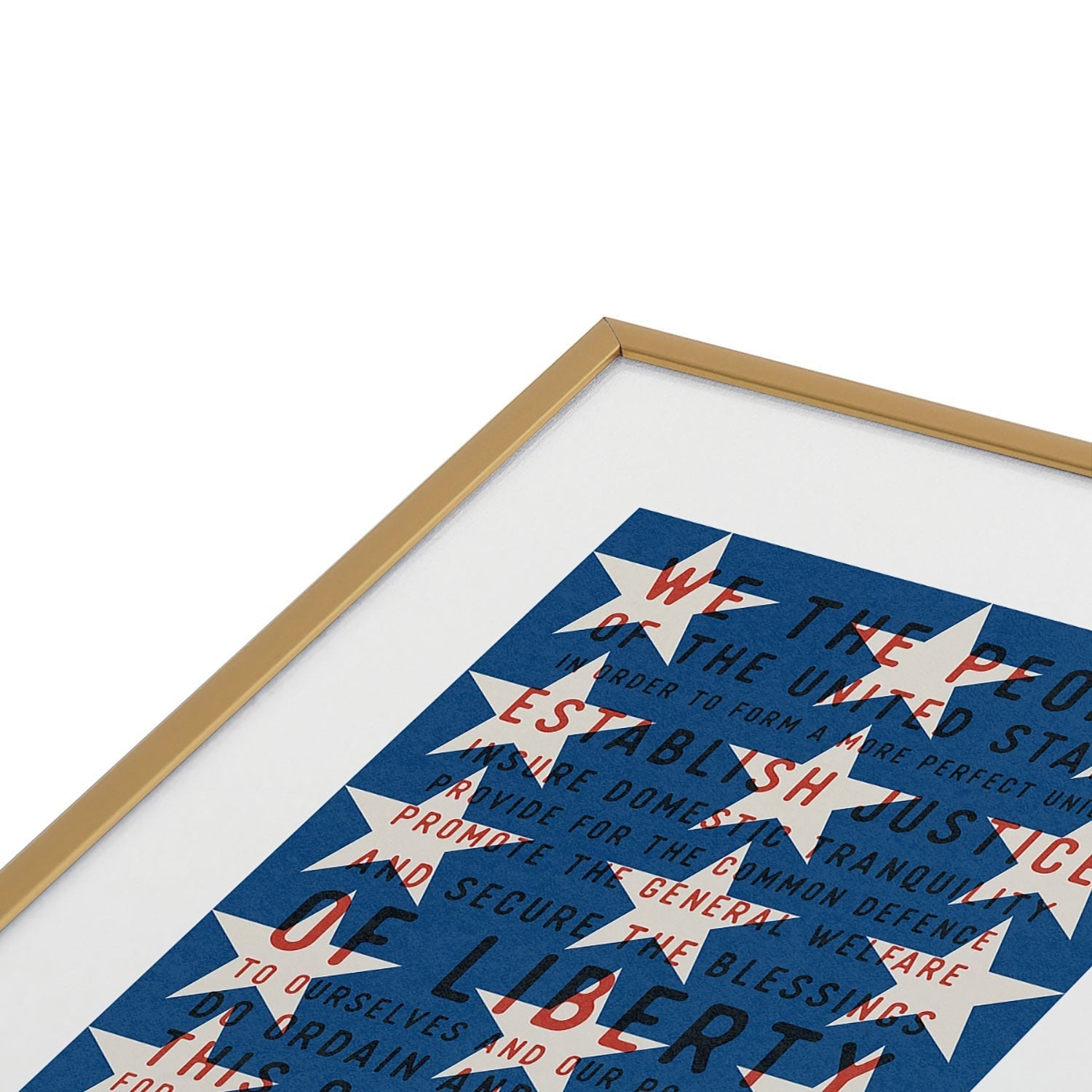 DENY Designs Starred Preamble Metal Framed Art Print