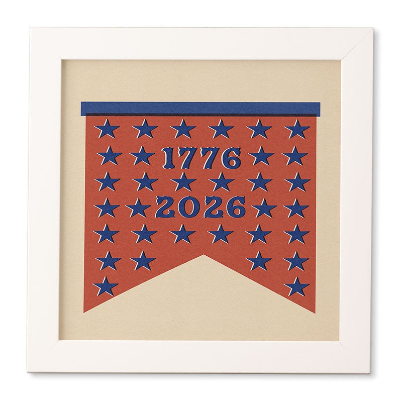 DENY Designs Star Banner Framed Wall Art