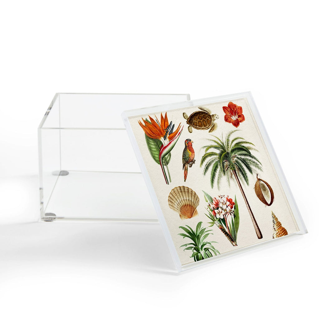 Gal Design Hawaii Collection Acrylic Box
