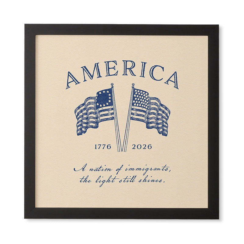 DENY Designs America250 Framed Wall Art