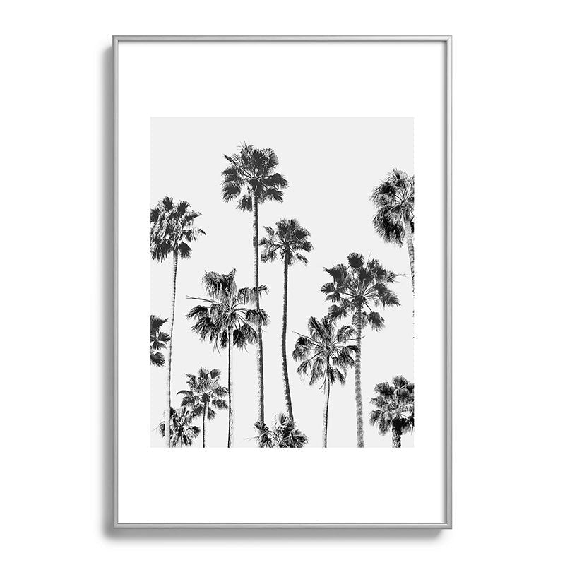 Gal Design Black And White Palms Metal Framed Art Print