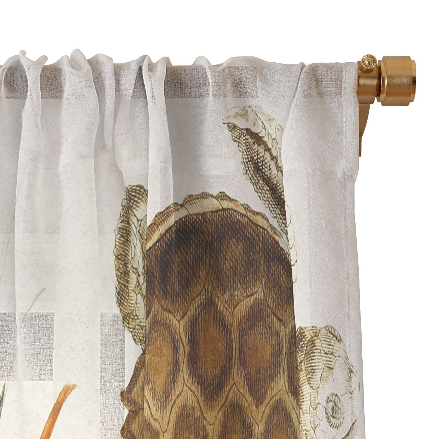 Gal Design Hawaii Collection Sheer Non Repeat