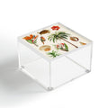 Gal Design Hawaii Collection Acrylic Box