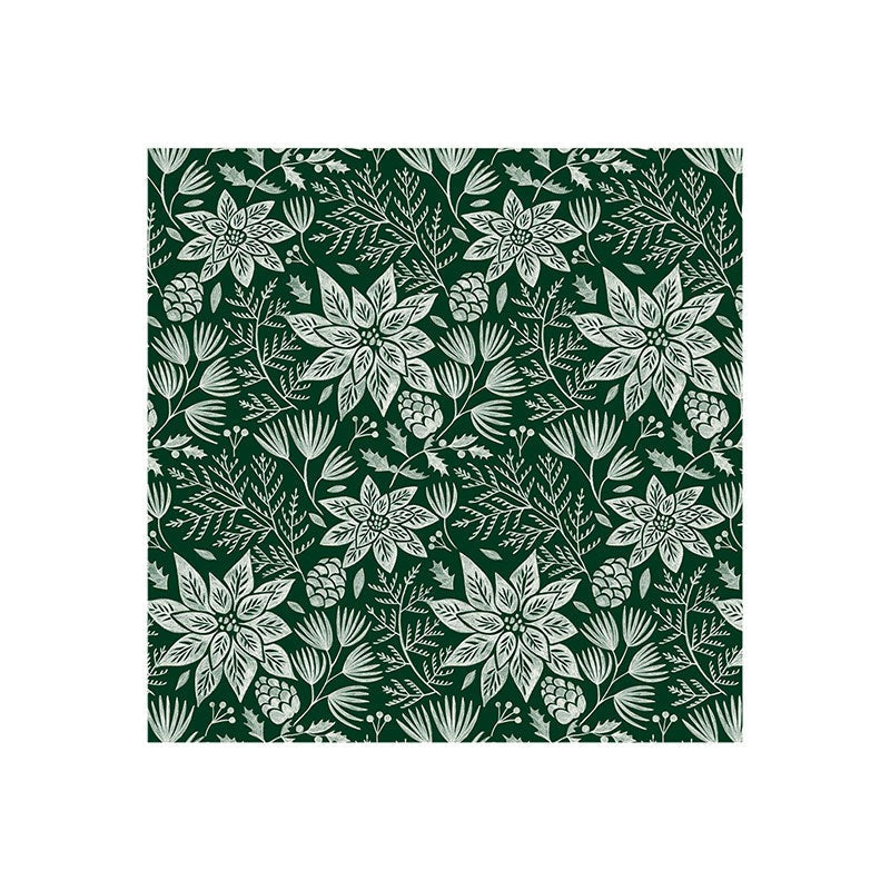Pimlada Phuapradit Christmas Poinsettia Art Print