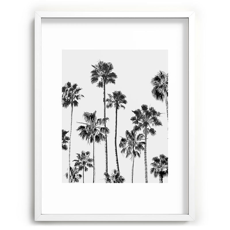 Gal Design Black And White Palms Recessed Framing Rectangle