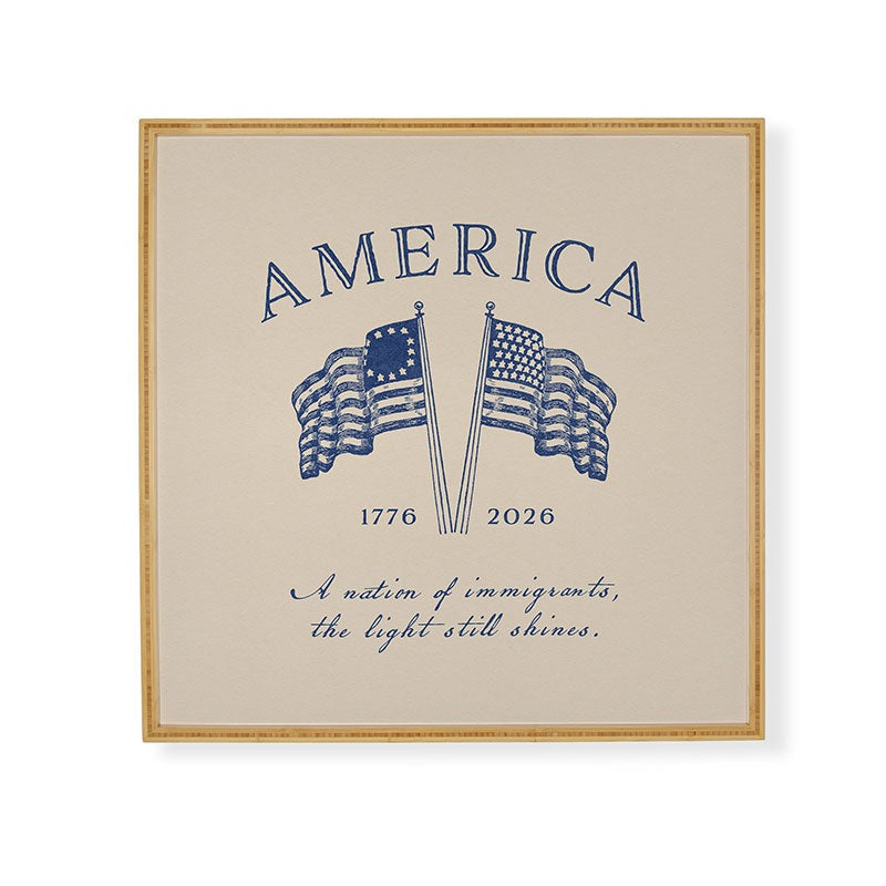 DENY Designs America250 Framed Wall Art