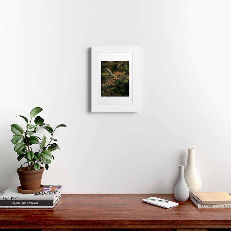 Hannah Kemp Spruce Tips Framed Art Print