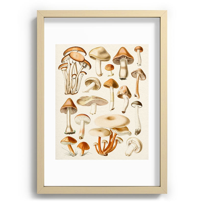 Gal Design Mushrooms Collection Recessed Framing Rectangle