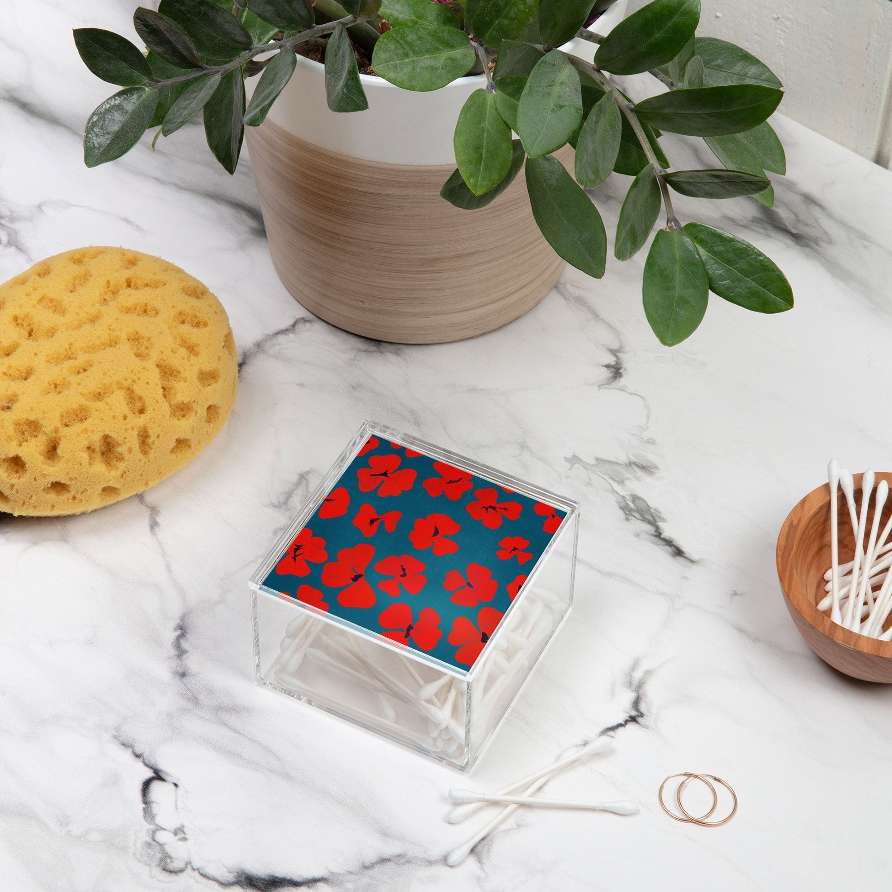 Garima Dhawan oxalis 1 Acrylic Box
