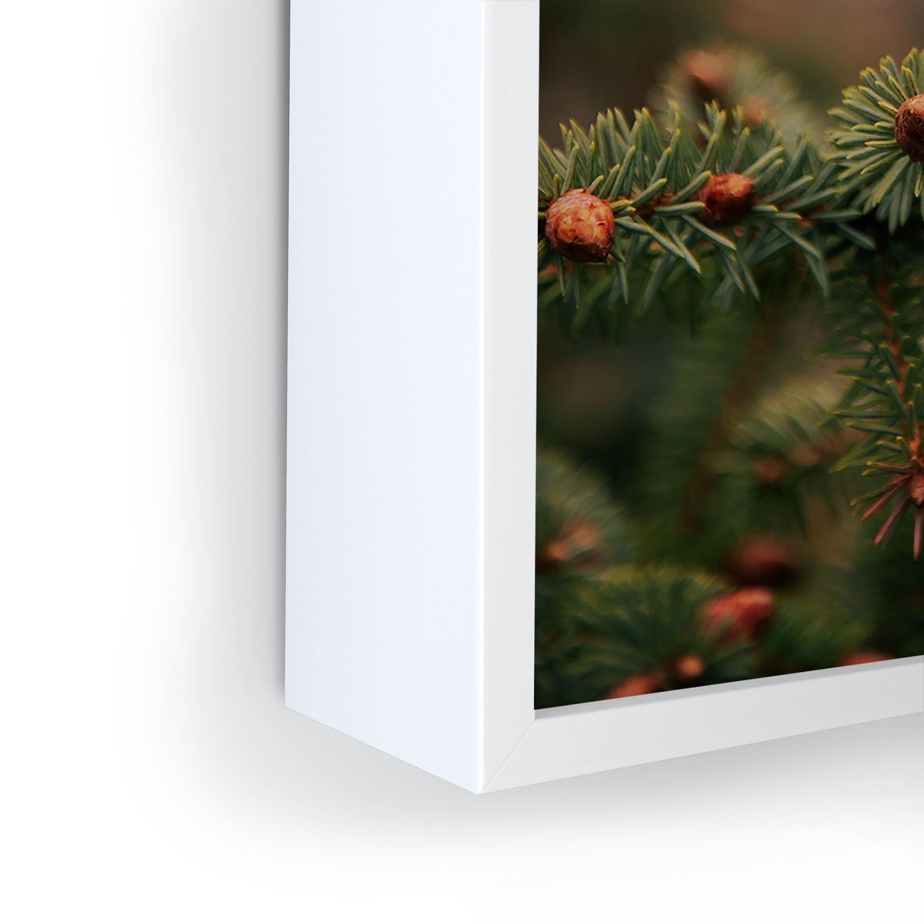 Hannah Kemp Spruce Tips Framed Mini Art Print
