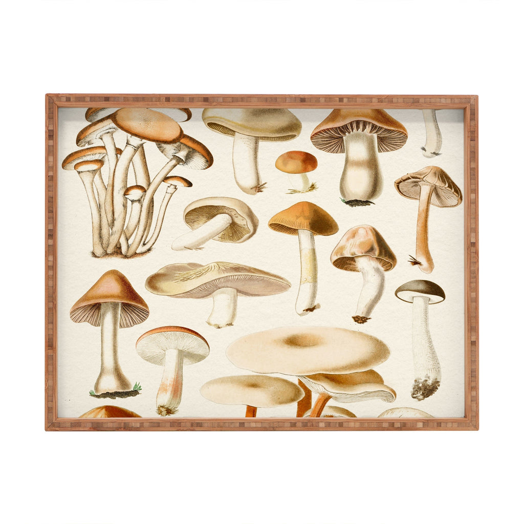 Gal Design Mushrooms Collection Rectangular Tray